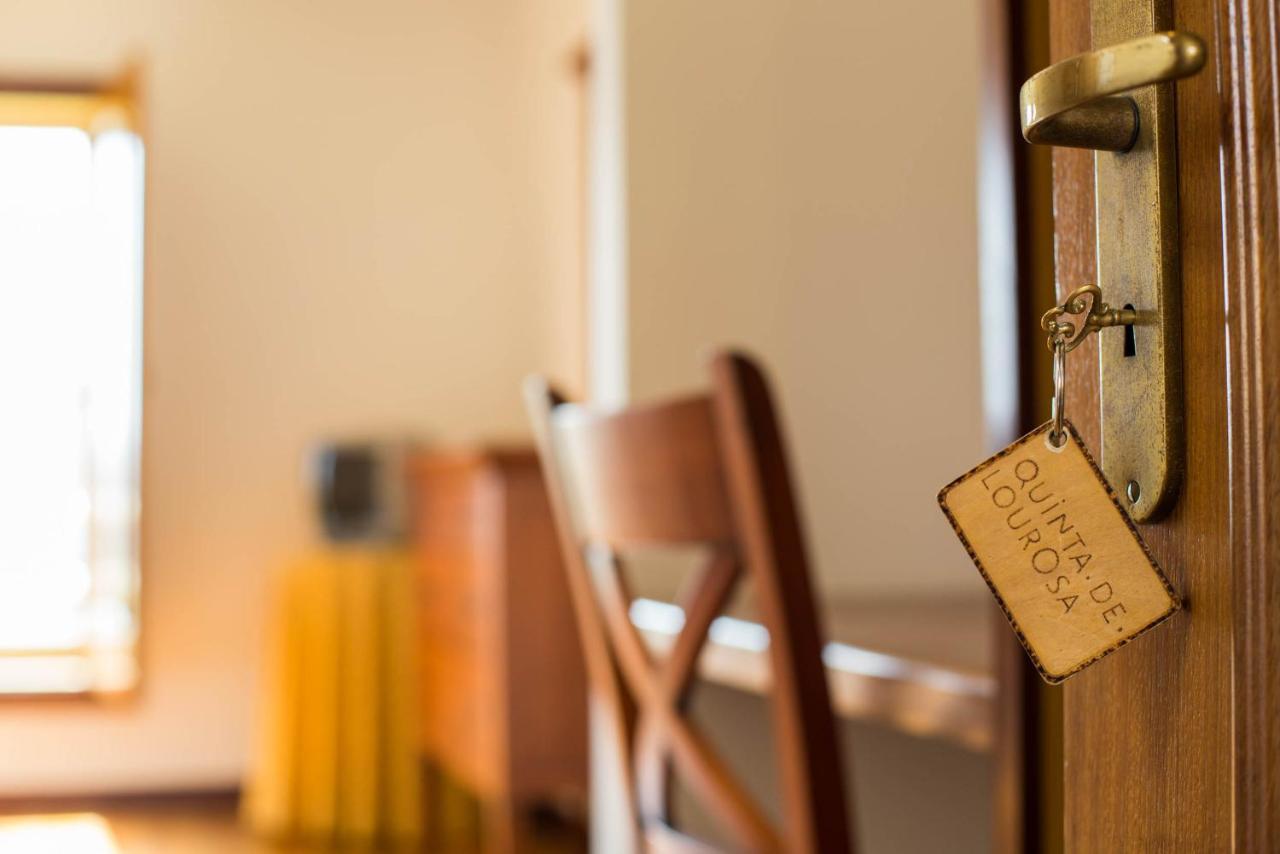 Quinta De Lourosa ξενώνας Lousada Εξωτερικό φωτογραφία