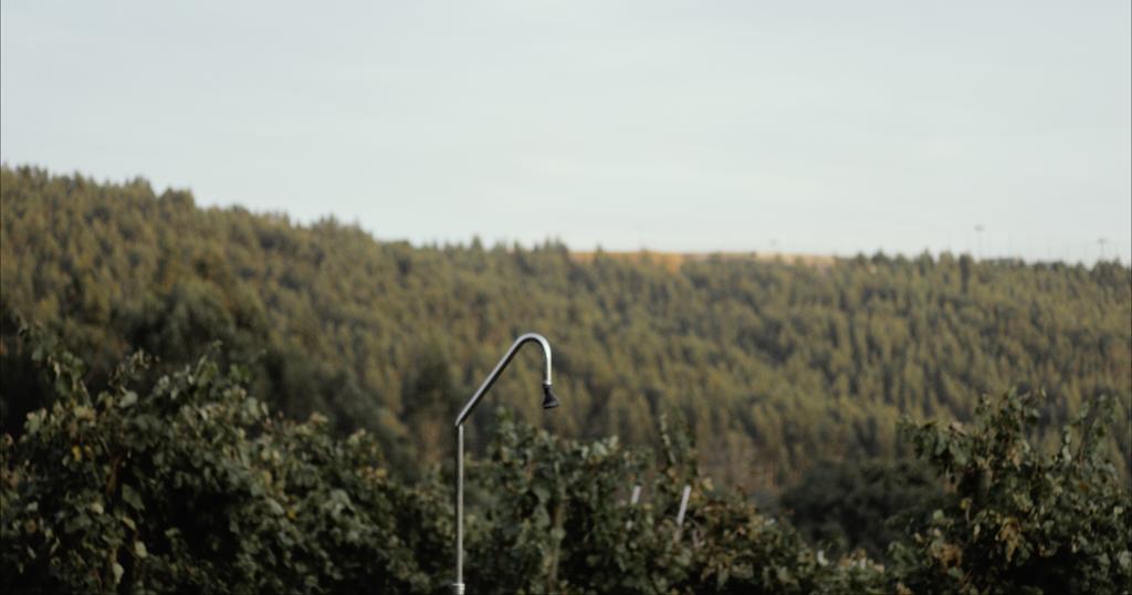 Quinta De Lourosa ξενώνας Lousada Εξωτερικό φωτογραφία