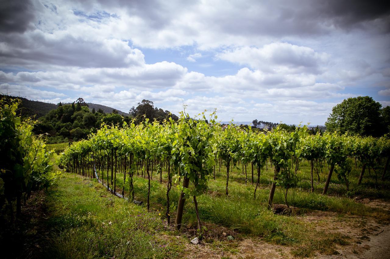 Quinta De Lourosa ξενώνας Lousada Εξωτερικό φωτογραφία