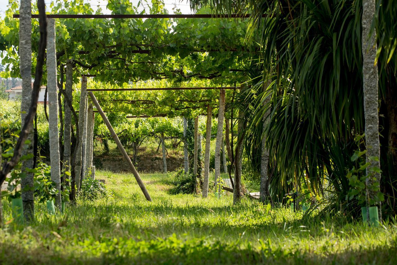 Quinta De Lourosa ξενώνας Lousada Εξωτερικό φωτογραφία