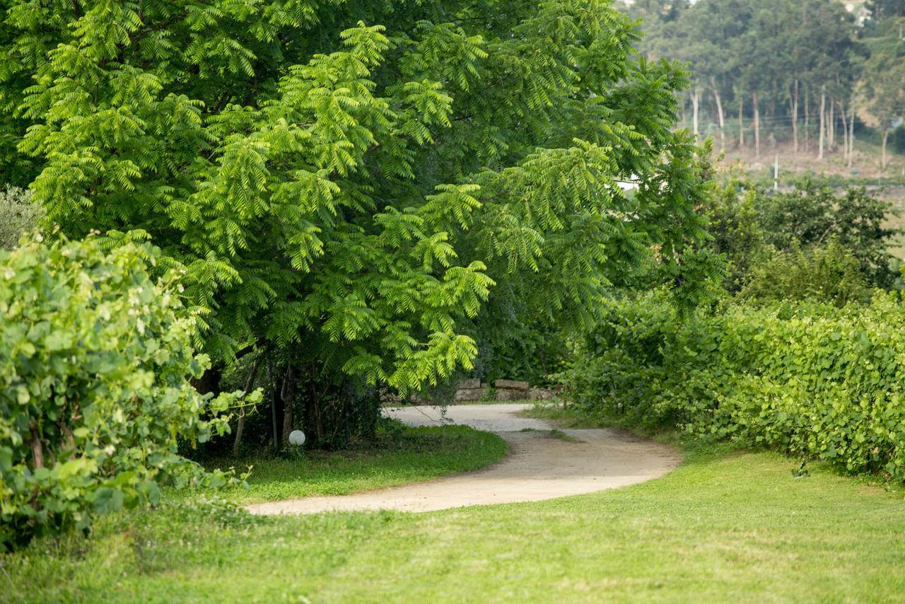 Quinta De Lourosa ξενώνας Lousada Εξωτερικό φωτογραφία